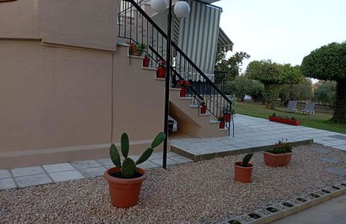 Olive mare Holidays - Foto 2