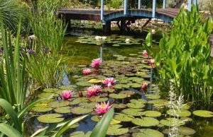 Villa Torre Zisa - Foto 7
