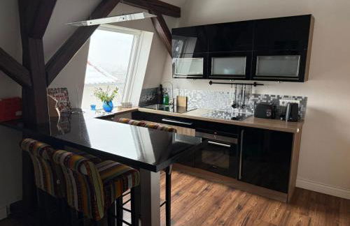 Premium Apartment Am Steiger 2 Großzügiger Luxus mit Kamin und SpaBad am Steigerwald - Foto 5