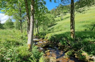 Bergforelle - Bilderbuchausblicke, Sauna und Genussmomente in einer ehemaligen Kapelle - Foto 35