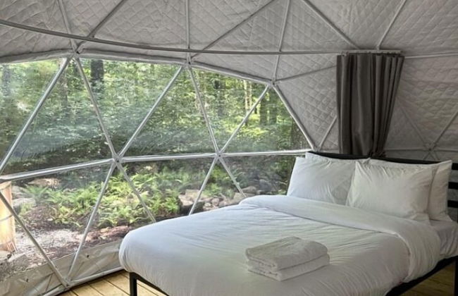 Ferncrest Campground - Photo 4