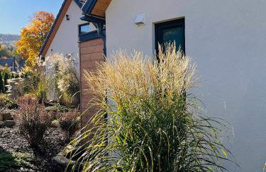 Galena i Gnejs - Foto 26