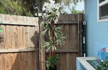 Studio Yunet - Foto 64