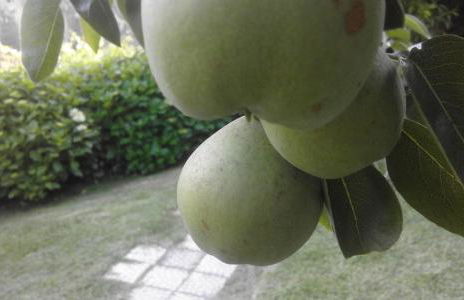 Terraços da Beira - Foto 24