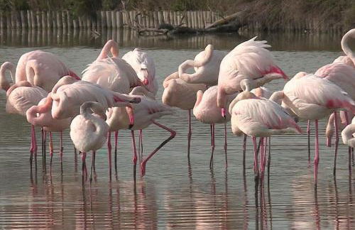 Duplex au Coeur de Lunel - Foto 21