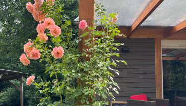 Behagliches Cottage am See - Foto 4