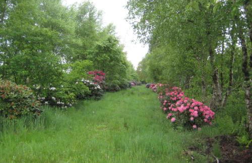 Dollhouse Modern Retreat - Foto 54