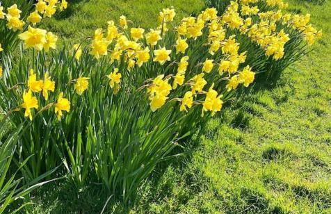 Oyster Cottage - Foto 42