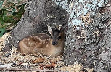 Fletland Mill and Holiday Hamlet - 18th century watermill, in stunning location near Stamford - Photo 46