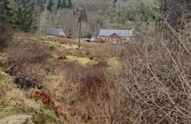 Pinetree Cottage, dog friendly, Holiday let, Callander Invertrossachs - Foto 15