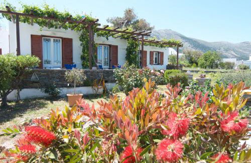 Nikoleta Studios Sifnos - Foto 34