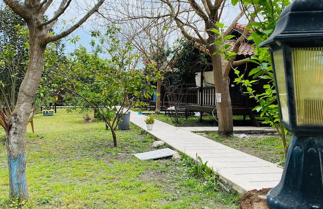 La Maison Hotel Çıralı - Foto 40