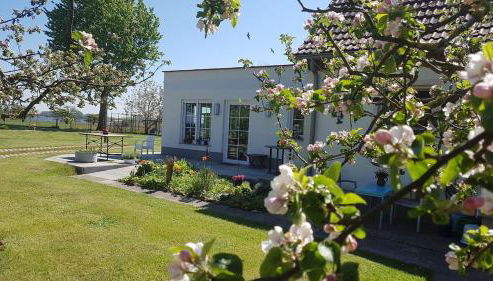 Fantastische Sonnenaufgänge über dem Bodden - Foto 2, Garden, Garden view