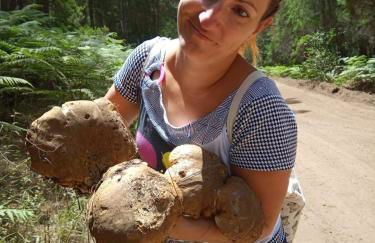 Sunset El Pris - Foto 38