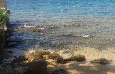 Prvinski Akvarel - Foto 36