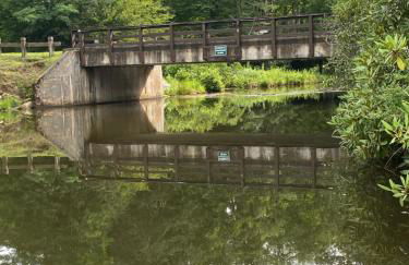 River Run Cottage Modern 2BR Waterfront Retreat in Linville Land Harbor - Foto 49