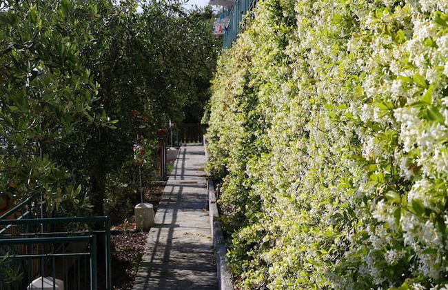 Parco Vacanze Lo Scoglio - Foto 70