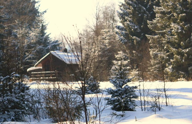 Cozy Forest Chalet Escape - Photo 39