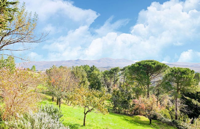 Tuscany Family Country Home - Photo 25