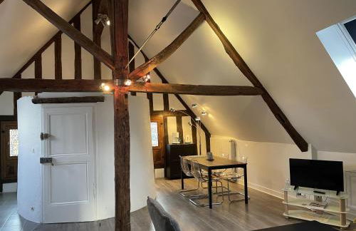 Le Pigeonnier centre historique Auxerre - Foto 40