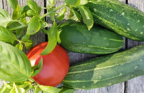 Enchanted Cottage 1 block to beach - Foto 6