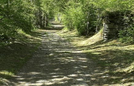 Chalet la Cachette Cyclists & Skiers - Foto 66