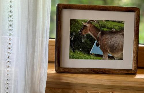 Chata na Wzgórzu - Photo 10