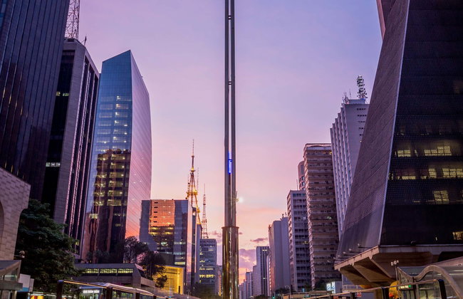 Visita guiada por la Avenida Paulista - Foto 1