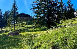 Belisima Apartments I Ferienwohnungen Fischbachau - Breitenstein I Region Schliersee I Historisch & Cozy mit Bergblick I 2 Schlafzimmer I Waschmaschine I Parkplatz I Nähe Supermarkt - Foto 48