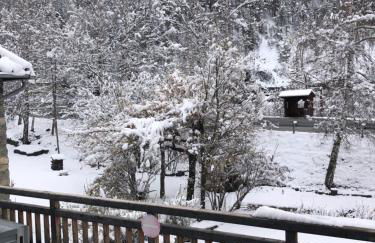 L ALPIN bel appartement avec terrasse dans vieille ferme de montagne rénovée - Photo 33