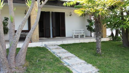 Vecchio Ulivo - Foto 5