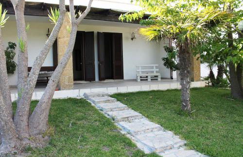 Vecchio Ulivo - Foto 5