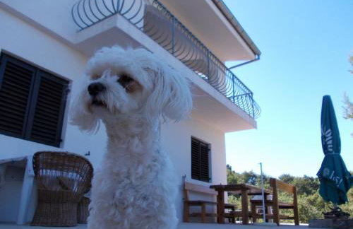 Apartment Hvar Bike - Foto 11