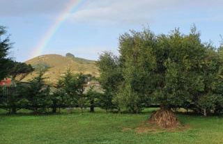 La quinta olac acogedor bungalow independiente - Foto 19