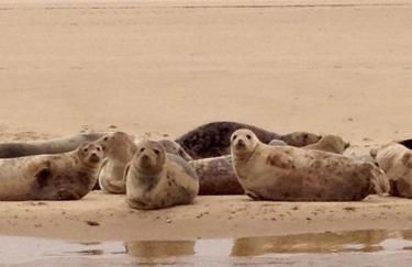 Augusta garden apartment - Foto 25