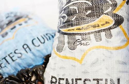 Détente, nature & océan en Bretagne - Le 154 - Foto 4