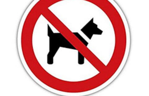 Ferienwohnung Thoma - Foto 5