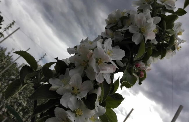 Agriturismo NonSoloMele - Photo 47