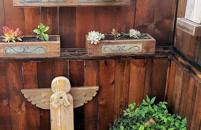 Rubyred Selfcatering Cottage - Foto 24