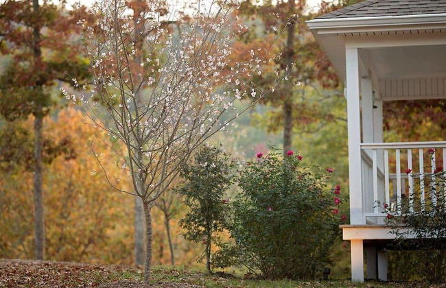 Stonehill Cottages - Foto 19