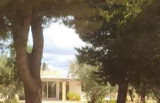 Trullo Contrada Specchi - Foto 1