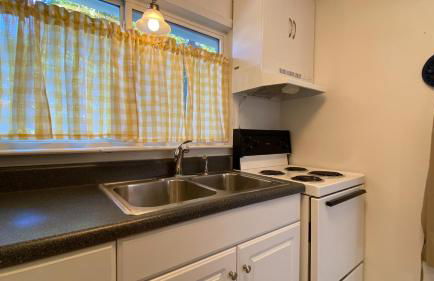 Cuddlefish - Foto 31