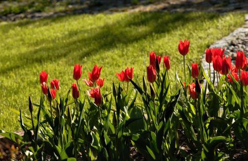Białowieski Dworek do 10 Gości - Foto 36