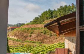 The FarmHouse I - Uma quinta deslumbrante - Foto 14