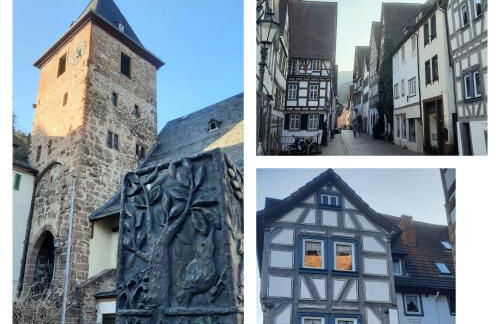 Altstadthäuschen mit charm , nähe Heidelberg castle, Neckarufer - Photo 37