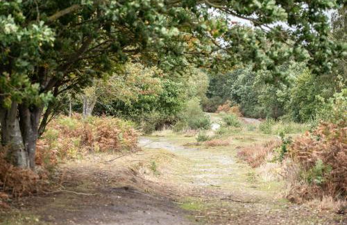 Mount Pleasant Farm, Dunwich - Foto 18