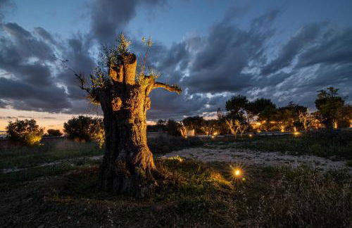 Pozzo Traverso Casale - Foto 79