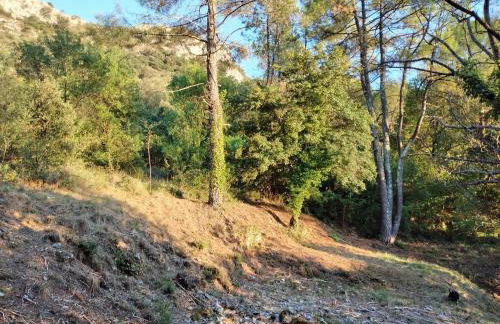 Le Cocon de la Corgne - Foto 12