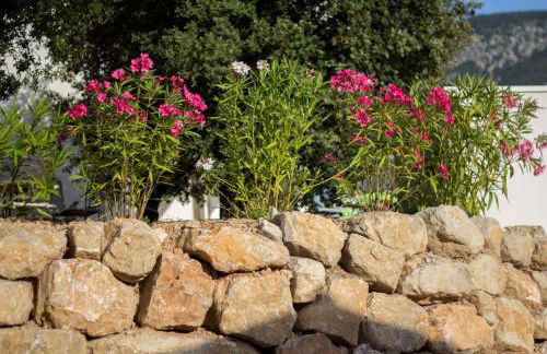 À mont nos hôtes 2 - Foto 28