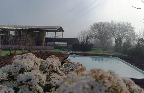 Biobagnolese Agriturismo - Foto 62